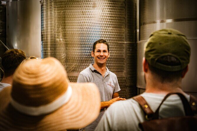Guided tour of the cellars with wine tasting and lunch - What to expect from the guide (and what to ask during tasting)