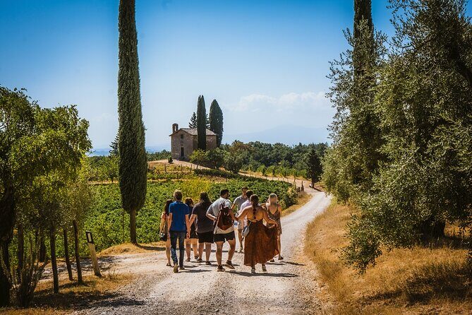 Guided tour of the cellars with wine tasting and lunch - San Giorgino church (1109): more than a quick stop