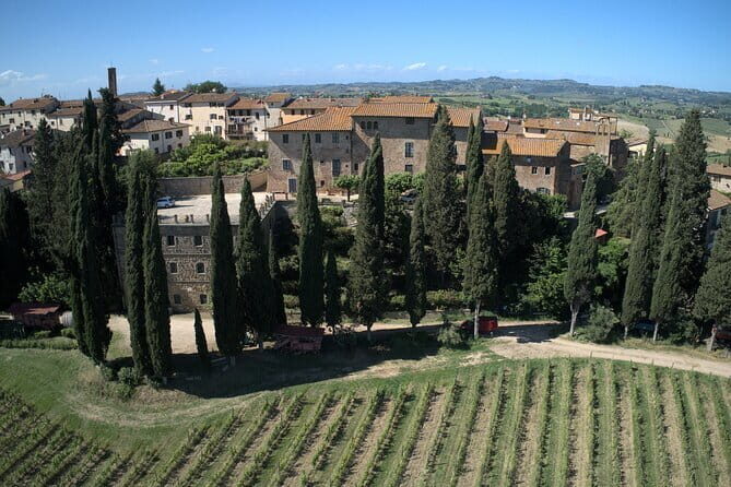 Guided tour with wine tasting and local organic products - Key highlights worth carving out time for