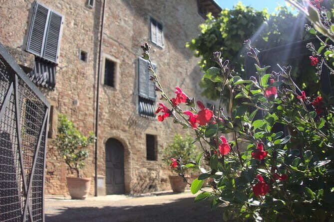 Guided tour with wine tasting and local organic products - Who should book this Chianti and organic-products tour