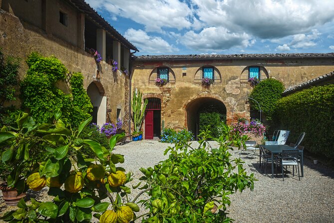 Guided Winery Tour and Wine Tasting in Siena - A Small-Group, Organic Wine Lesson at Azienda Agricola La Lastra