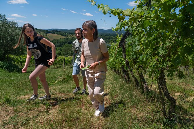 Guided Winery Tour and Wine Tasting in Siena - Start Time and Getting There Without Stress