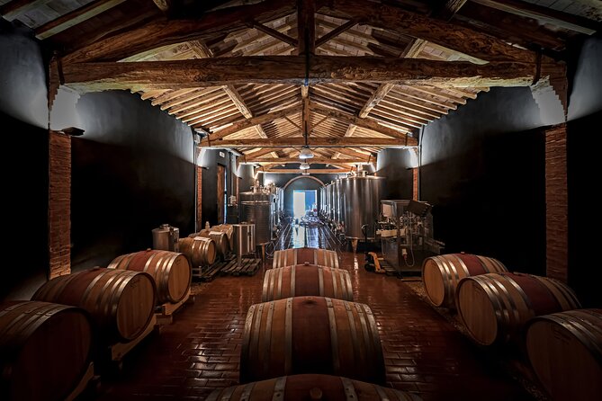 Guided Winery Tour and Wine Tasting in Siena - What You Learn That Actually Helps You Taste Better