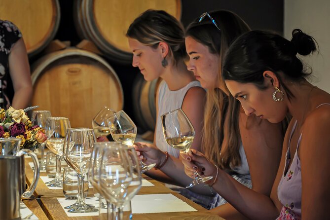 Guided Winery Tour and Wine Tasting in Siena - Wine, Food, and Olive Oil: The Pairing Is the Point
