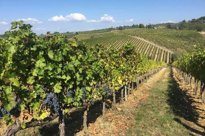 Half-day Chianti Classico Wine tour from Florence - Small Group - What you’ll taste and how to get the most from the pours
