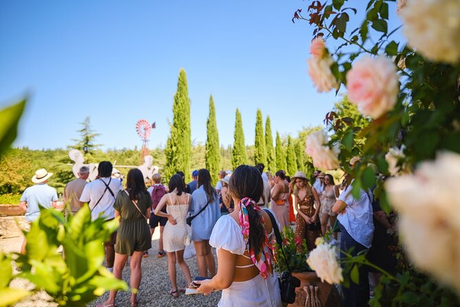 Half-day Experience to San Gimignano Hills with Picnic and Wine - Who should book this San Gimignano hills tour?