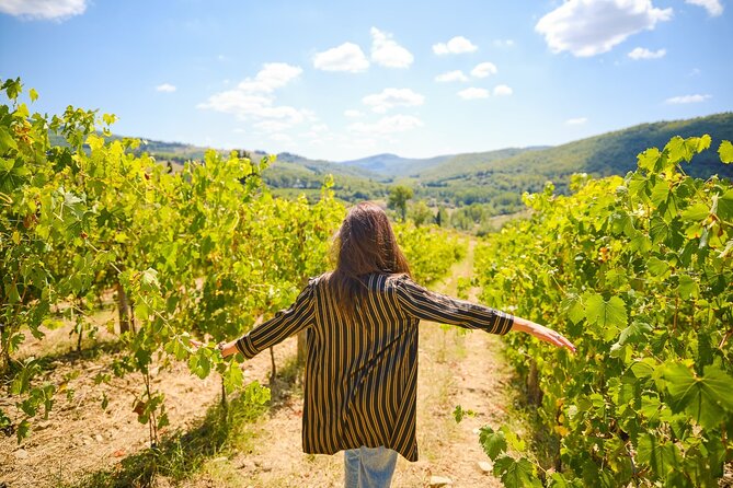 Half-day Experience to San Gimignano Hills with Picnic and Wine - Should you book it?