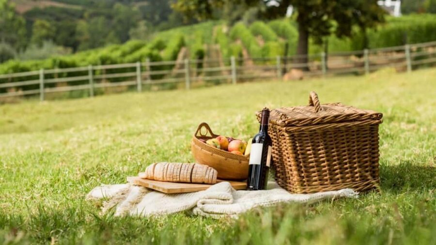 Half-day Hills Experience to San Gimignano with Pic Nic Wine - Chianti vineyard picnic: the part that turns a tour into a memory