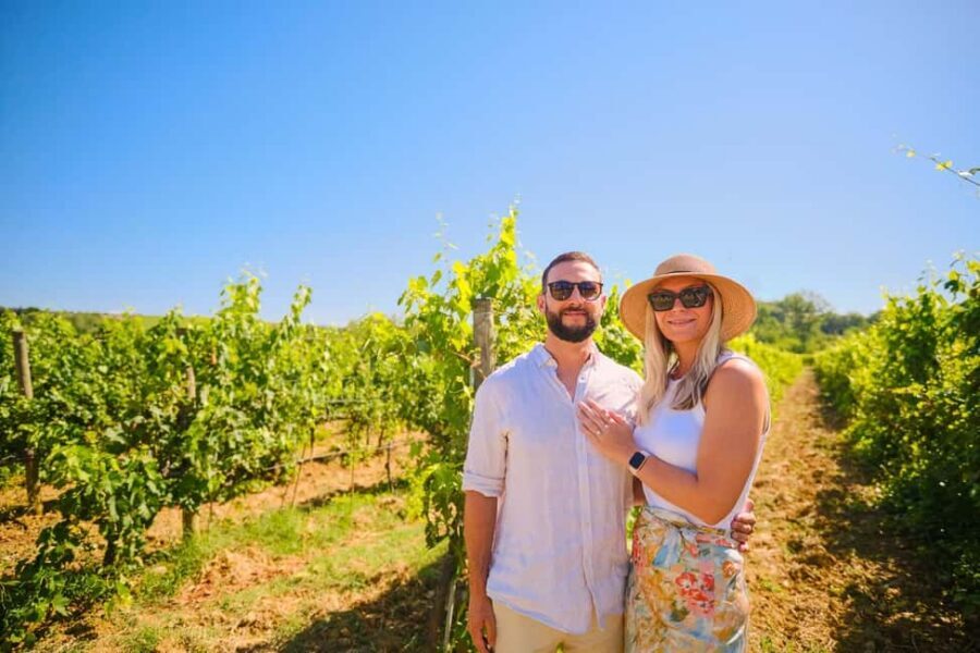 Half-day Hills Experience to San Gimignano with Pic Nic Wine - Who should book this tour (and who should skip it)