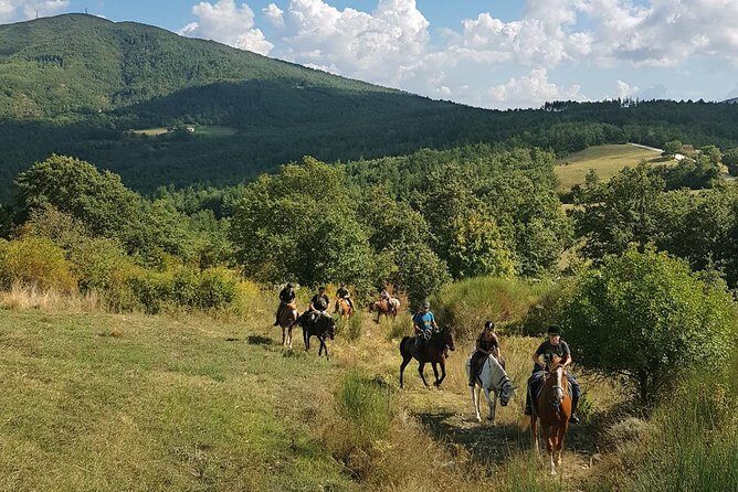 Half-Day Horseback Ride in Tuscany - Getting ready: helmet, short lesson, and the riding-level reality check