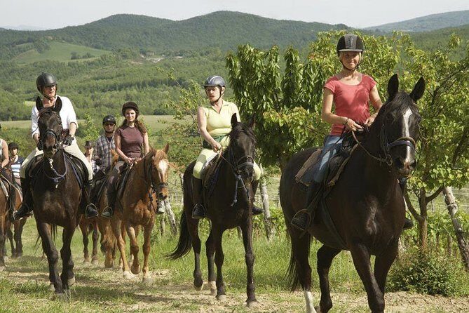 Half-Day Horseback Ride in Tuscany - Back to the stables: the small details that shape your day