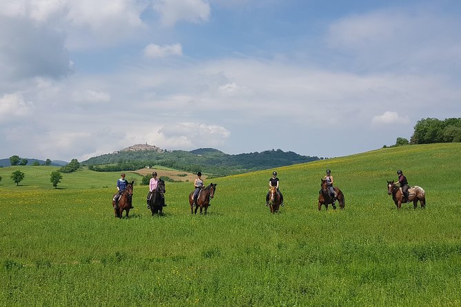 Half-Day Horseback Ride in Tuscany for beginner riders - The Two Hours on Horseback: Woods, Small Rivers, Medieval Villages, and Meadows