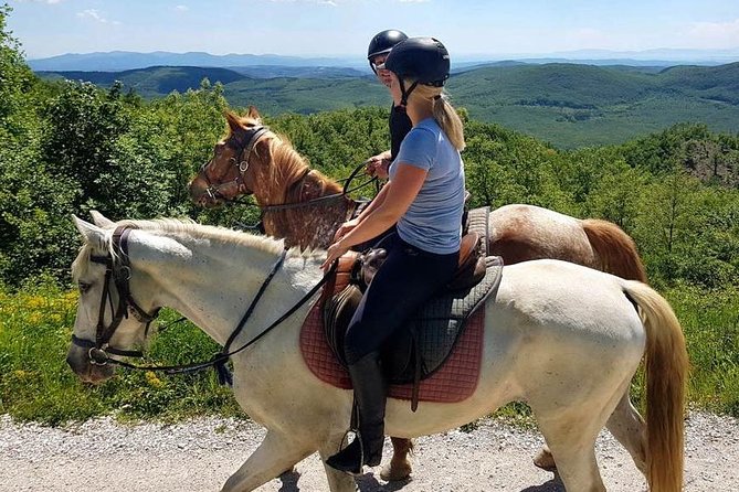 Half-Day Horseback Ride in Tuscany for beginner riders - Safety That’s Built Into the Plan: Helmet, Reliable Horses, and Patient Guides