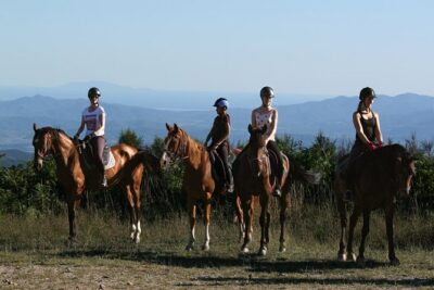 Half-Day Horseback Ride in Tuscany for beginner riders - Montieri Hill: Sweeping Views Without a Big Stress Factor