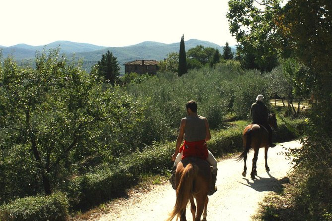 Half-Day Horseback Ride in Tuscany for beginner riders - Price and Value: What You’re Paying For (and What You Still Need to Handle)