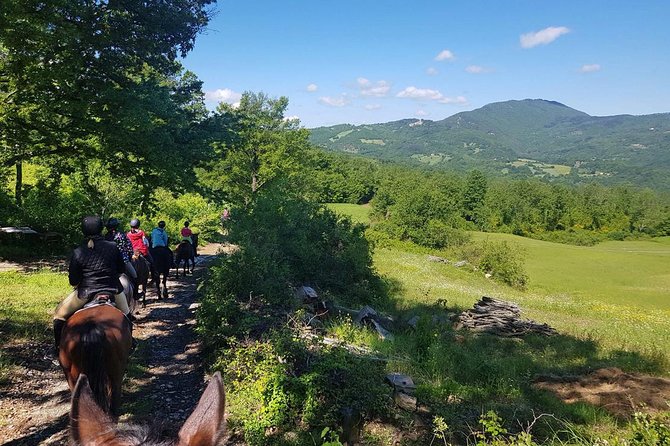 Half-Day Horseback Ride in Tuscany for beginner riders - Practical Tips Before You Go: Clothes, Weight Limits, and Group Size