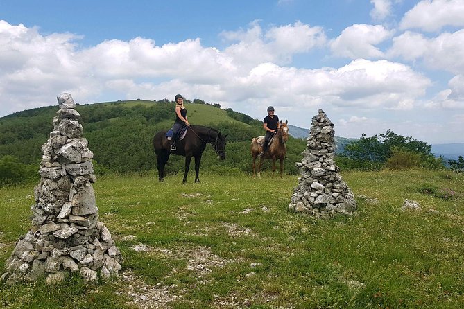 Half-Day Horseback Ride in Tuscany for beginner riders - Should You Book This Beginner Horse Ride Near San Gimignano?