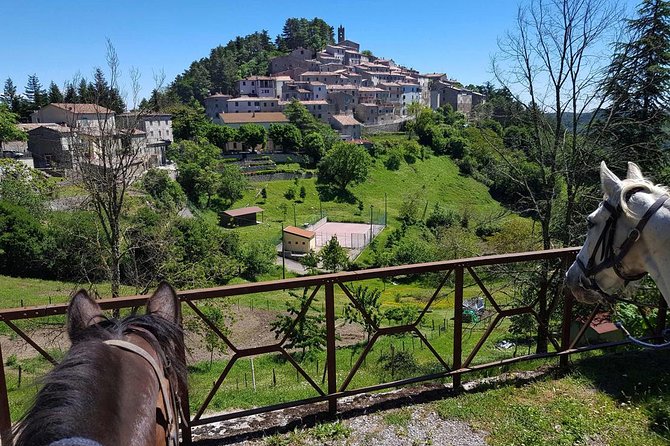 Half-Day Horseback Ride in Tuscany for beginner riders - FAQ