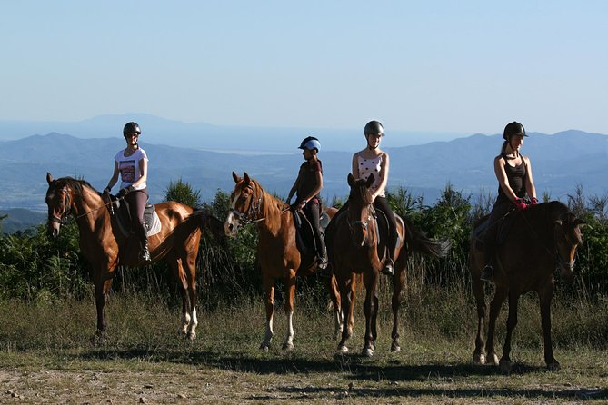 Half-Day Horseback Ride in Tuscany for beginner riders - Montieri Hill: Sweeping Views Without a Big Stress Factor
