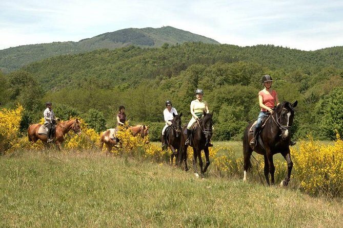 Half-Day Horseback Ride in Tuscany - Montieri Hill climb: why the views are the point