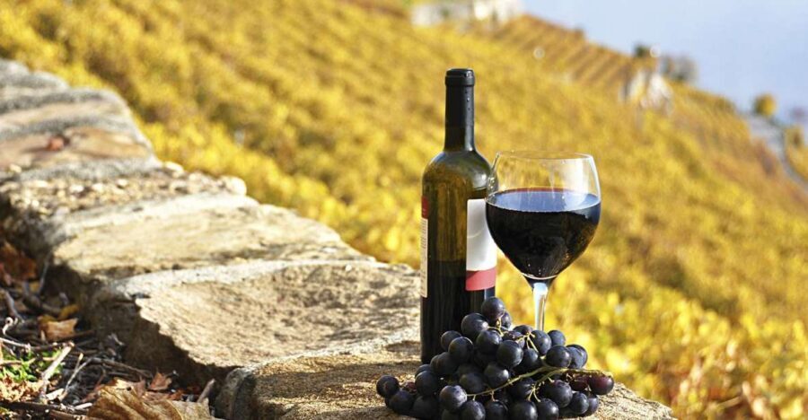 Half-Day Tour from Florence: Chianti Colors & Flavors - Getting Out of Florence: Piazzale Montelungo and the First Hour