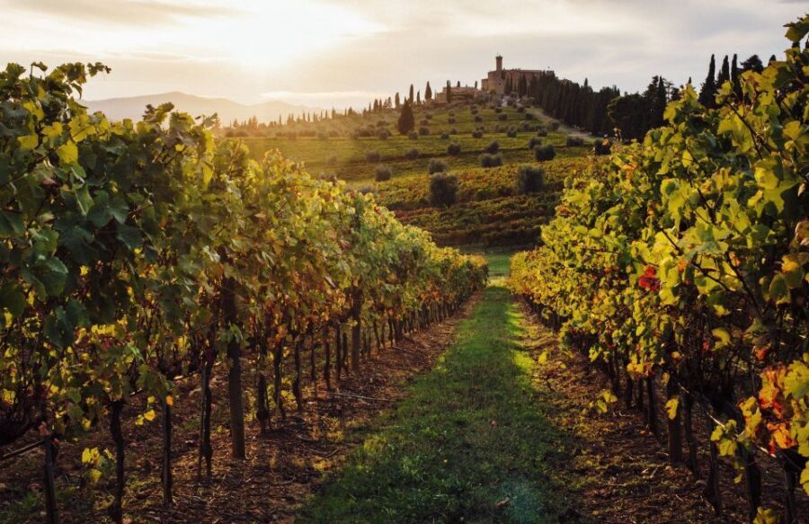 Half-Day Tour from Florence: Chianti Colors & Flavors - The Real Tuscany Bonus: Greve in Chianti Free Visit