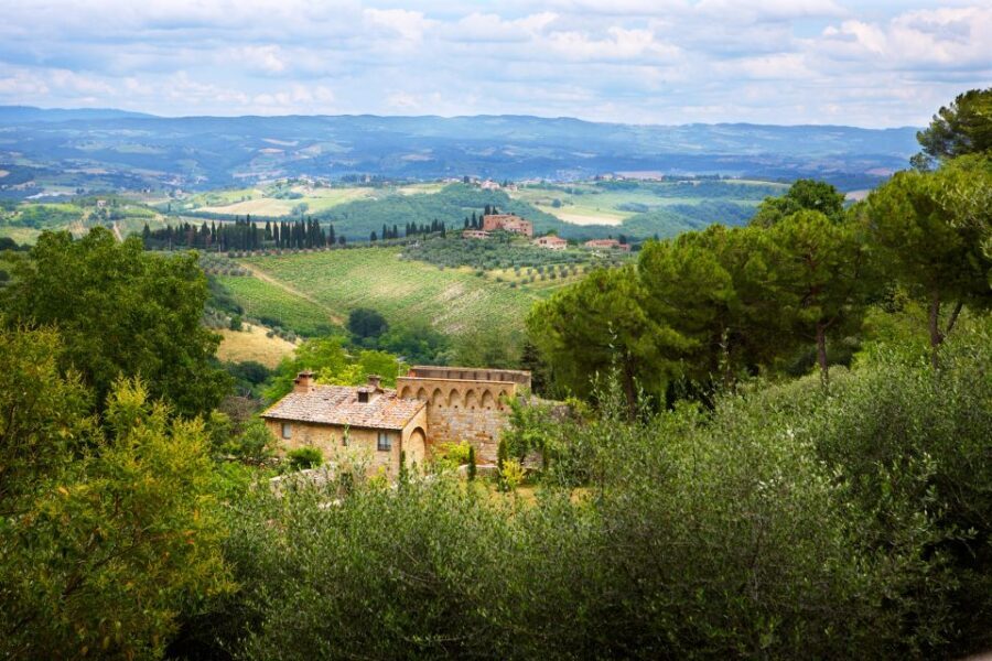 Half-Day Tour of San Gimignano From Florence - Arriving in San Gimignano: Photo Stop, Free Time, and a Self-Guided Stroll