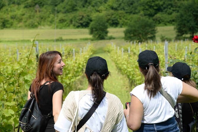 Hike & Wine Tour - Who Should Book This Tour (and Who Might Skip It)