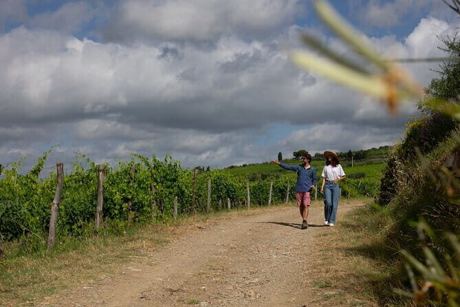 Hiking Tuscany & Chianti Wine - 3 Organic Wineries with lunch - The 7 km hike in Tuscany: easy paths, real pacing