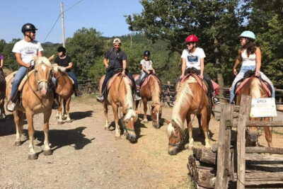 Horse ride in the Mugello (transfer from / to Florence) and Tuscan aperitif - Stop in Barberino di Mugello: Your 1-hour countryside warm-up