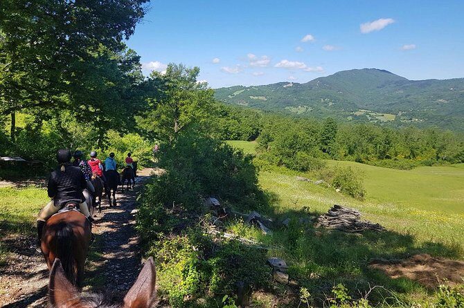 Horse Riding in Tuscany for Experienced Riders: Full-day Trail Ride - The picnic lunch break: good food, and sometimes a longer wait