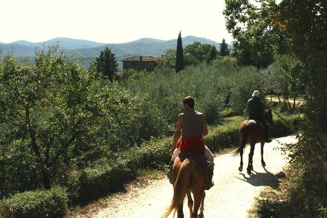Horse Riding in Tuscany for Experienced Riders: Full-day Trail Ride - The ride plan: how the day is paced in the saddle