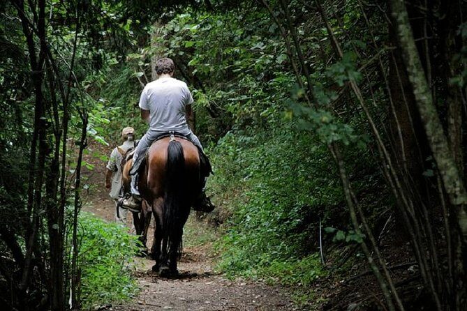 Horse Riding Small Group near Lucca - Safety and limits you should know before booking