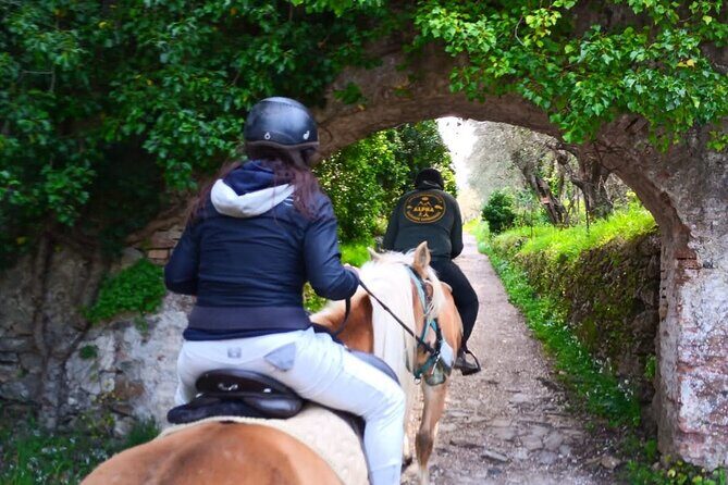 Horseback riding and aperitif 2 hours for beginners - Aperitif Back at the Stables: What You’ll Likely Eat and Drink