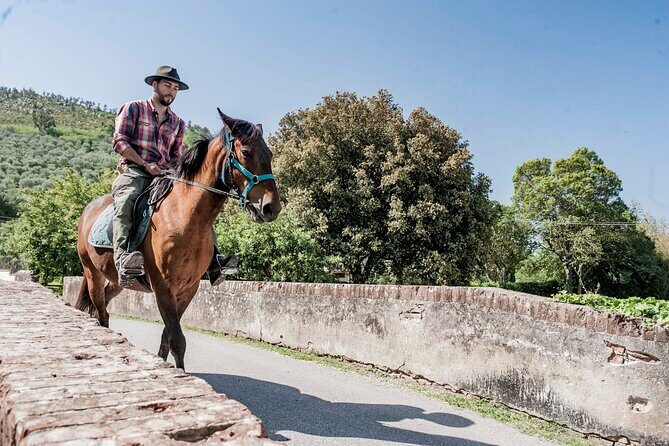 Horseback riding and aperitif 2 hours for beginners - Should You Book This Calci Horse Ride With Aperitif?