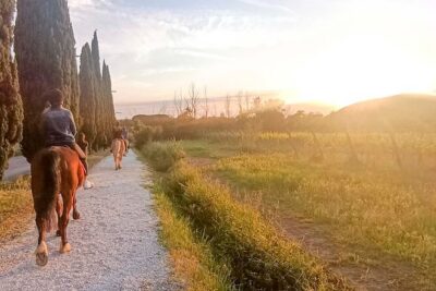 Horseback riding at sunset 1 hour at the Certosa di Pisa - Meeting at Centro Ippico La Cartuja: the practical start point