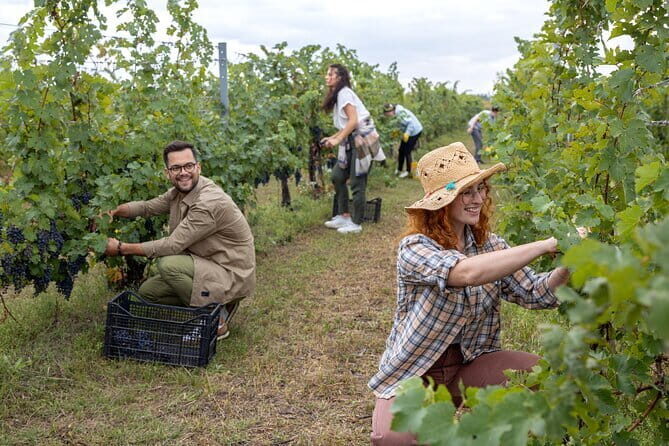Horseback riding & Wine Tasting and snack Lunch at noble Estate - Inside medieval cellars and Renaissance rooms