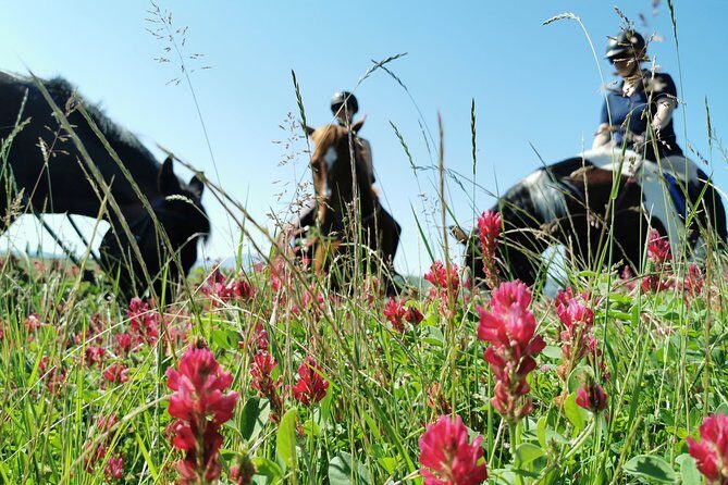 Horsebackriding - explore Tuscan nature - Key highlights worth getting excited about