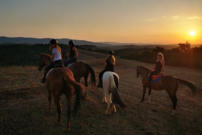 Horsebackriding - explore Tuscan nature - A morning you’ll remember: why this ride works so well near Siena