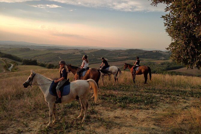 Horsebackriding - explore Tuscan nature - Walk-only riding in Tuscany: beginner-friendly, but still outdoorsy