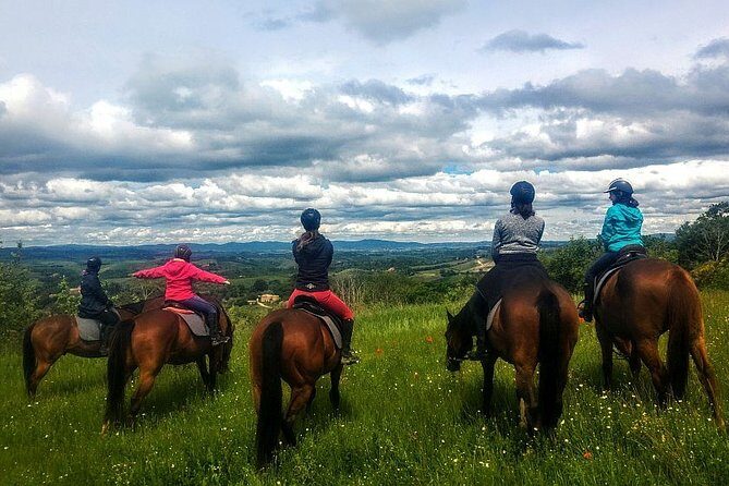 Horsebackriding - explore Tuscan nature - Crete Senesi and Val d’Arbia: the views you’ll actually ride through