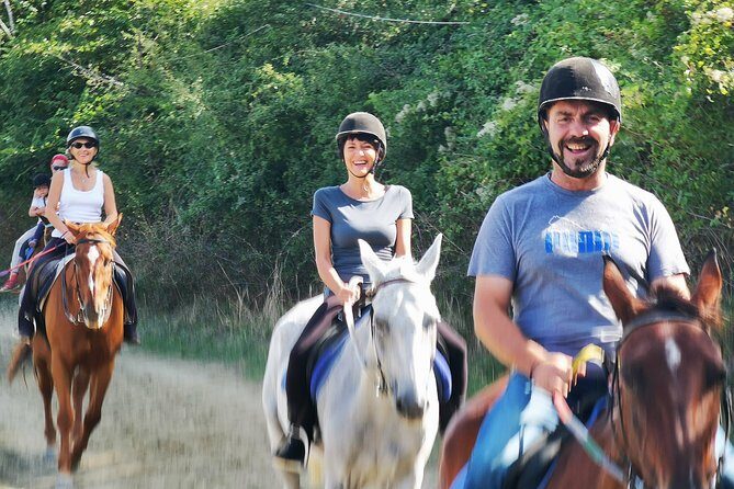 Horsebackriding - explore Tuscan nature - The horses: trained, gentle, and chosen for you