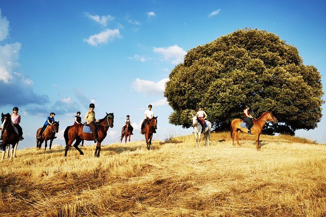 Horsebackriding - explore Tuscan nature - Price and value: why $102-ish can feel like a steal