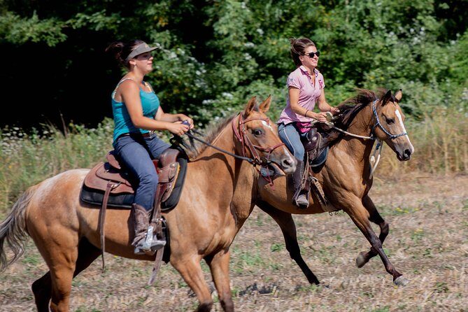 Horsemanship Experience - Key highlights you’ll feel right away