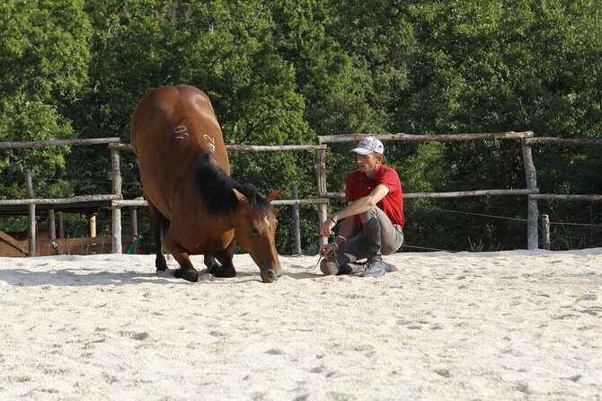 Horsemanship Experience - Relax after: time in the woods and a quieter Tuscany pause