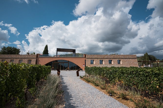 In a carriage among the vineyards, visit of the cellar, tasting of organic wines. - The Big Upsides at Tenuta Casadei (What You’ll Notice Fast)