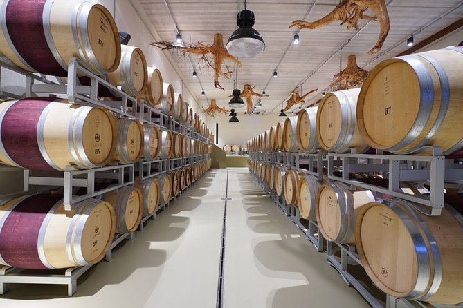 In a carriage among the vineyards, visit of the cellar, tasting of organic wines. - Timing, Group Size, and How the Experience Actually Feels