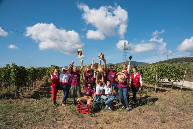 In a carriage among the vineyards, visit of the cellar, tasting of organic wines. - Who Should Book This Carriage-and-Wine Tour