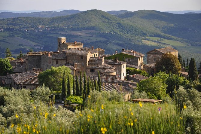 It's Wine Time! 2 wineries & farm-to-table lunch—max 8 pp - Round-Trip Transport from Florence: One Less Thing to Figure Out