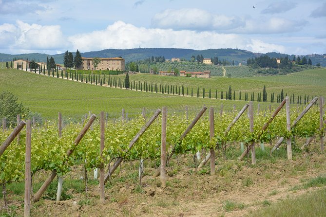 It's Wine Time! 2 wineries & farm-to-table lunch—max 8 pp - Who This Tour Fits Best (and Who Might Want Another Option)
